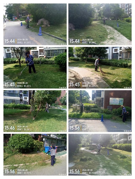 微信圖片_20240830093639